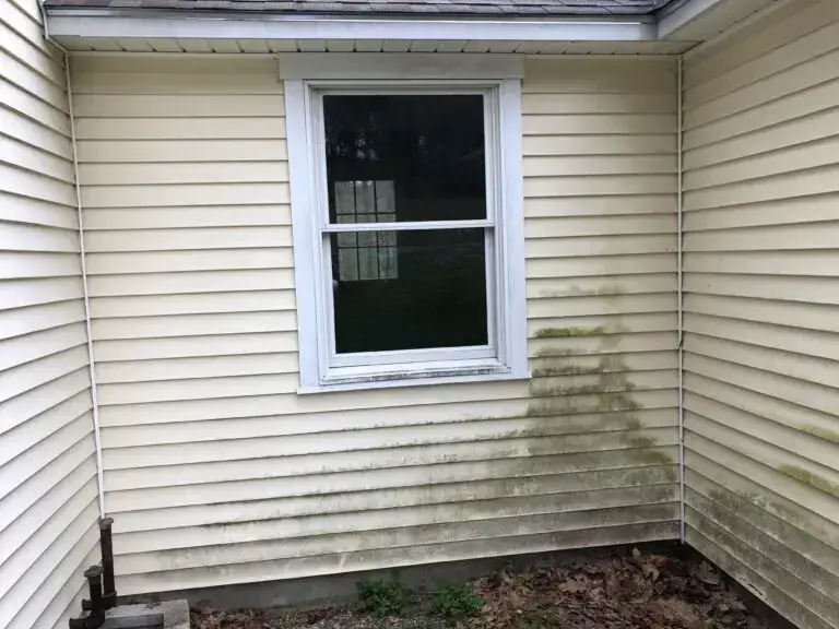 Vinyl siding before house washing