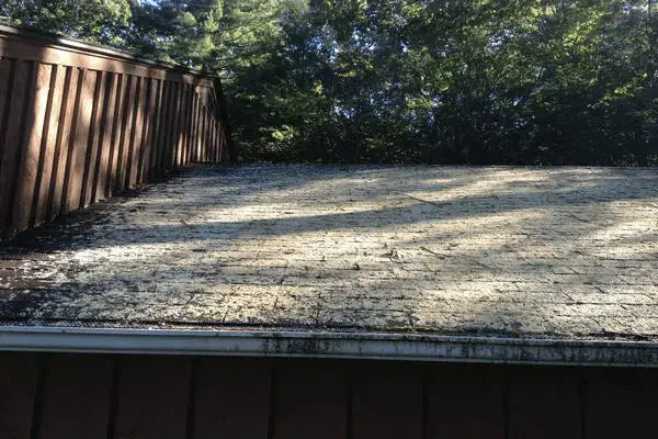 Heavy Lichen infestation on roof before cleaning