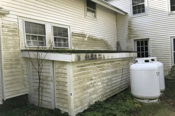 Green mold on white vinyl siding before house washing service.