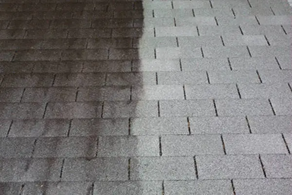 Roof shingles showing before and after cleaning.