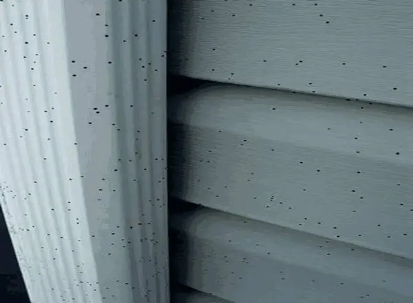 Black dots on house siding and gutter, likely artillery spores.