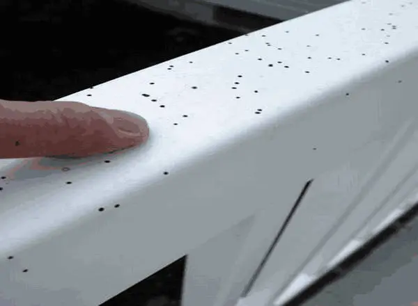 A finger is indicating the presence of small black dots on the house siding, which are likely to be artillery spores, a common issue.